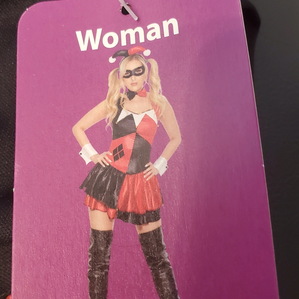 Harlequin Halloween Costume
